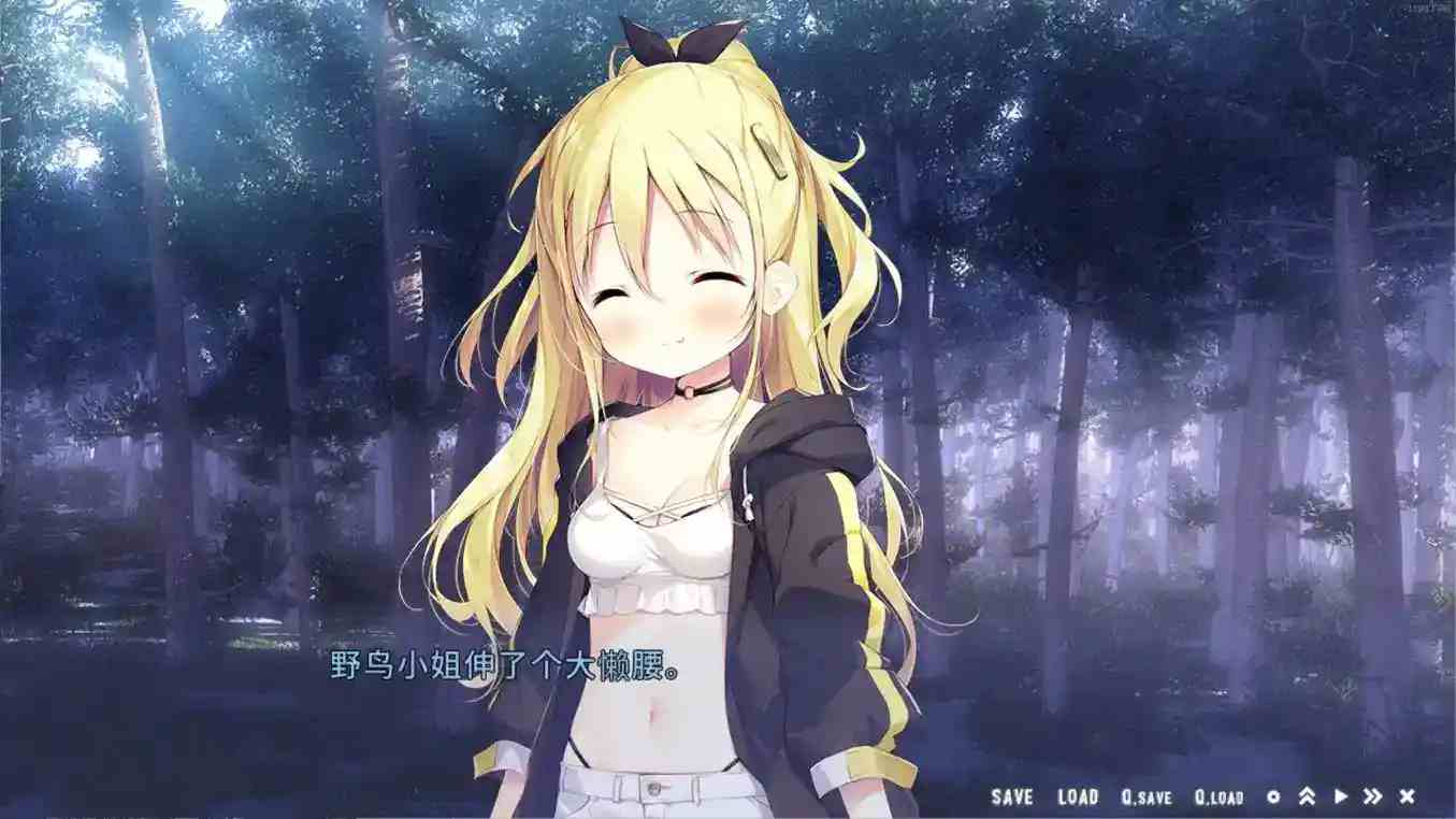 【安卓直装】【全年龄】星空列车与白的旅行：一场跨越星河的治愈之旅图片-3