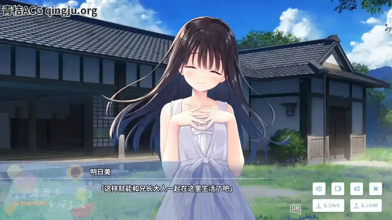 《乡间兄妹物语》游戏截图3 乡村集市事件场景