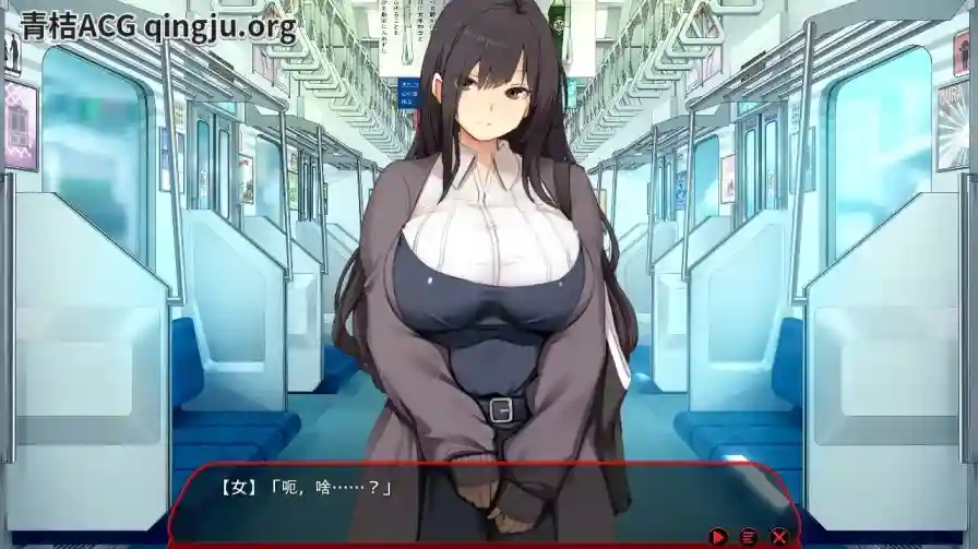 《满车率300%≒/満車率300% 3≒Append.1 鉄板ギャル御乗車ぱっち+DLC1》PC版体验报告图片-1 《满车率300%≒/満車率300% 3≒Append.1 鉄板ギャル御乗車ぱっち+DLC1》PC版体验报告图片-1